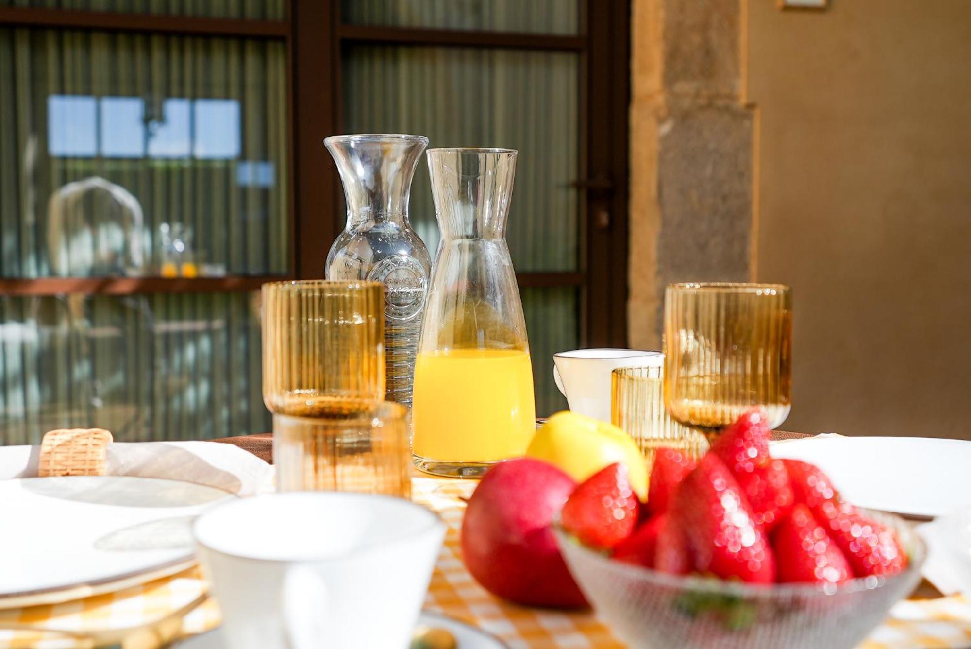 Bed and Breakfast Mas Pla Риудельотс-де-ла-Сельва Экстерьер фото
